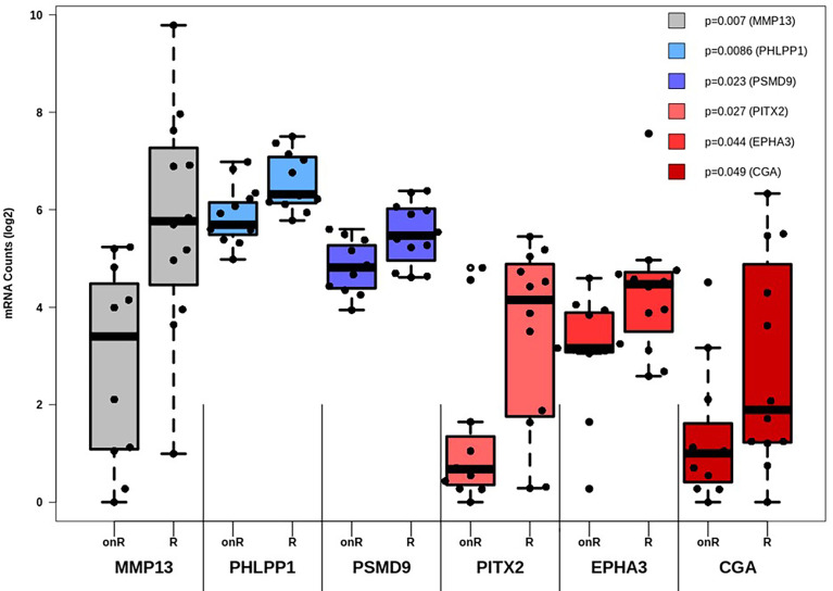 Figure 3