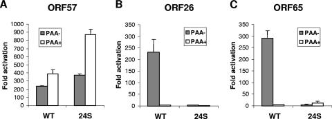 FIG. 4.