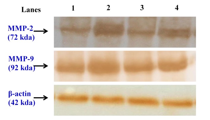 Fig. 4a