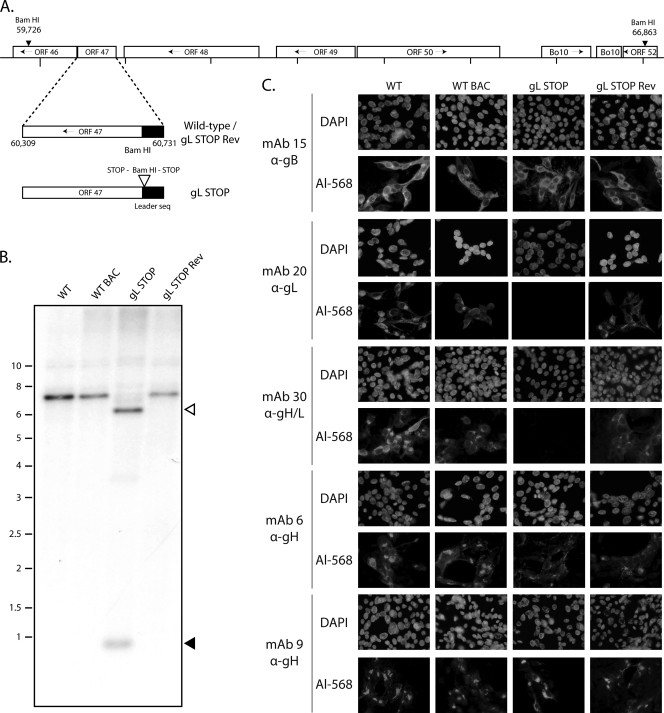 Fig 2