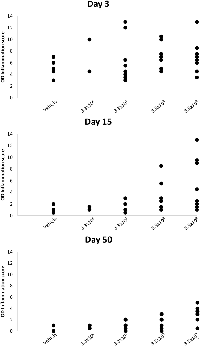 Figure 6