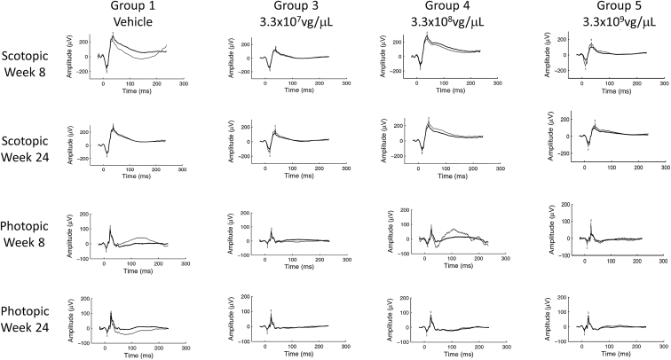 Figure 5