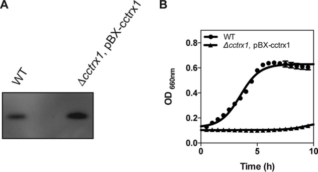 Figure 6.