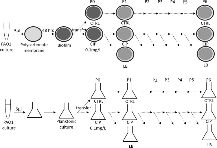 FIG 1