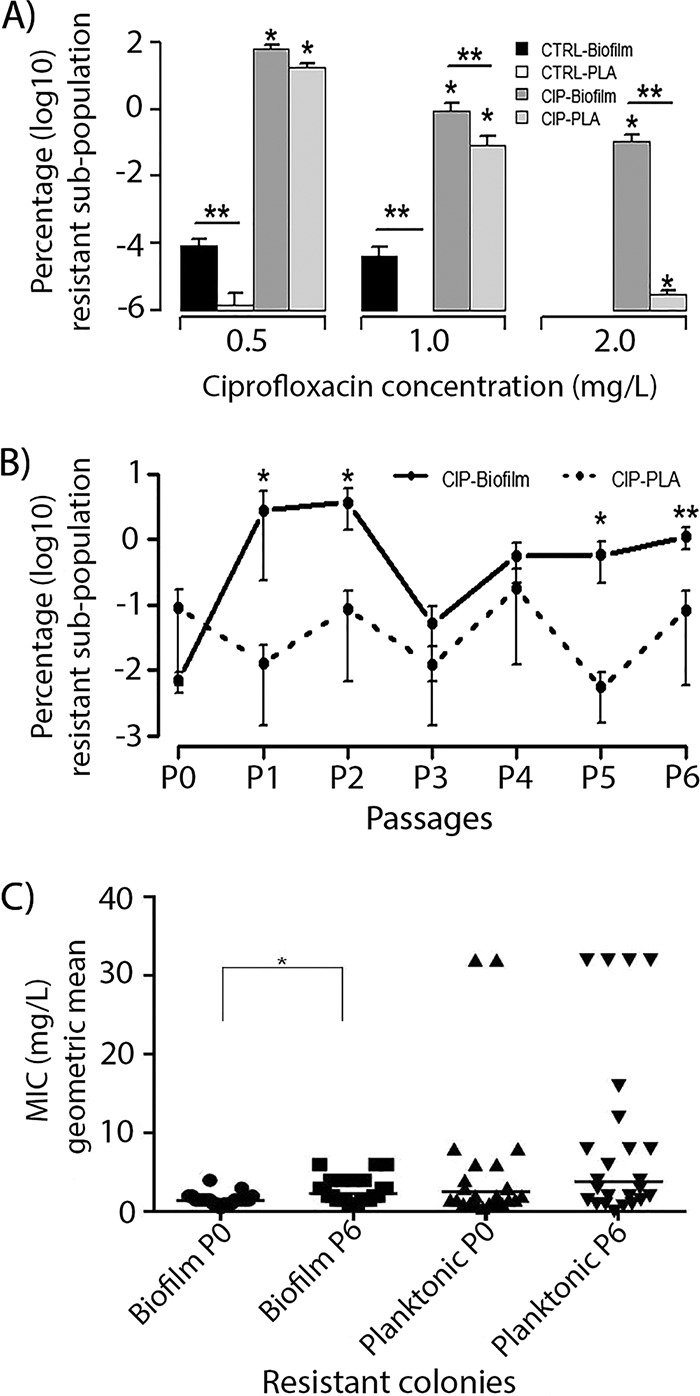 FIG 2