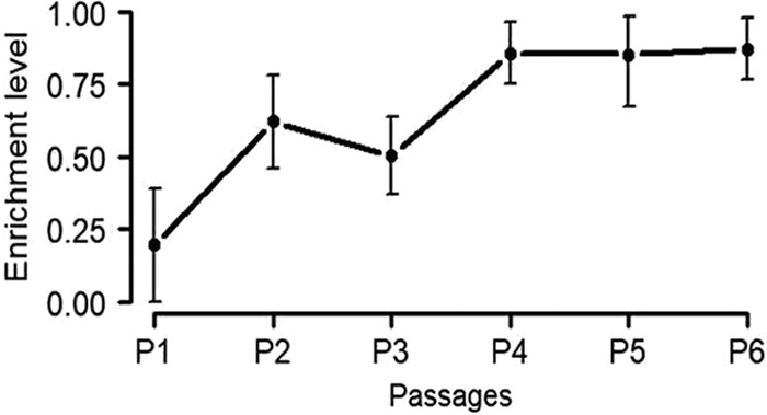 FIG 3