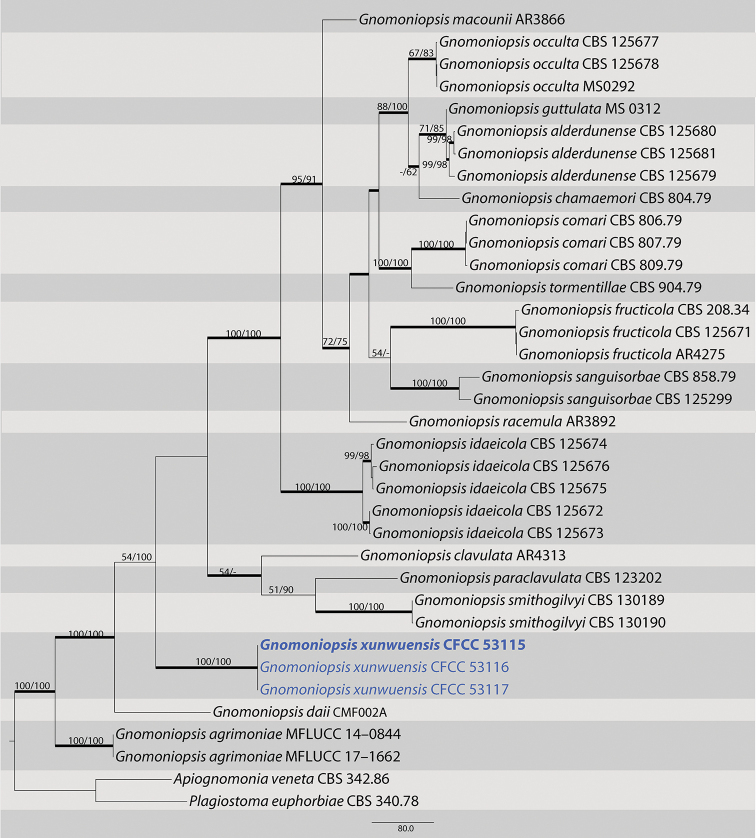 Figure 2.