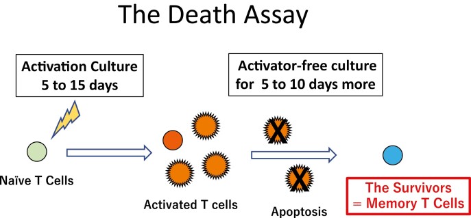 Graphical Abstract