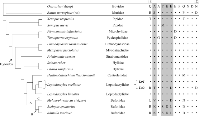 Figure 1.