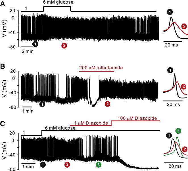 Figure 2