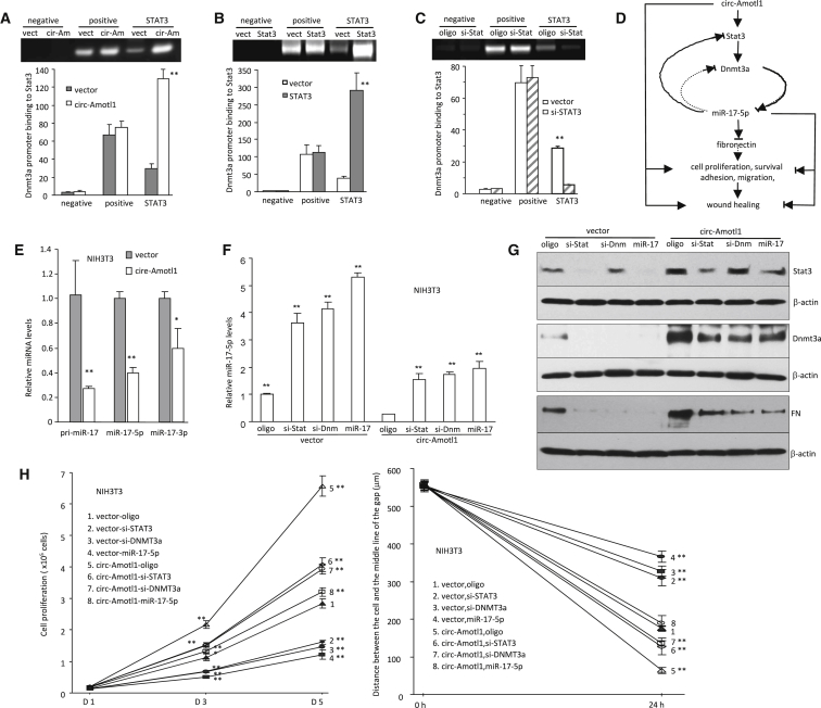 Figure 6