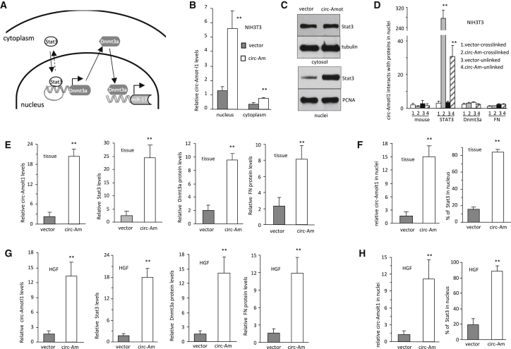 Figure 5