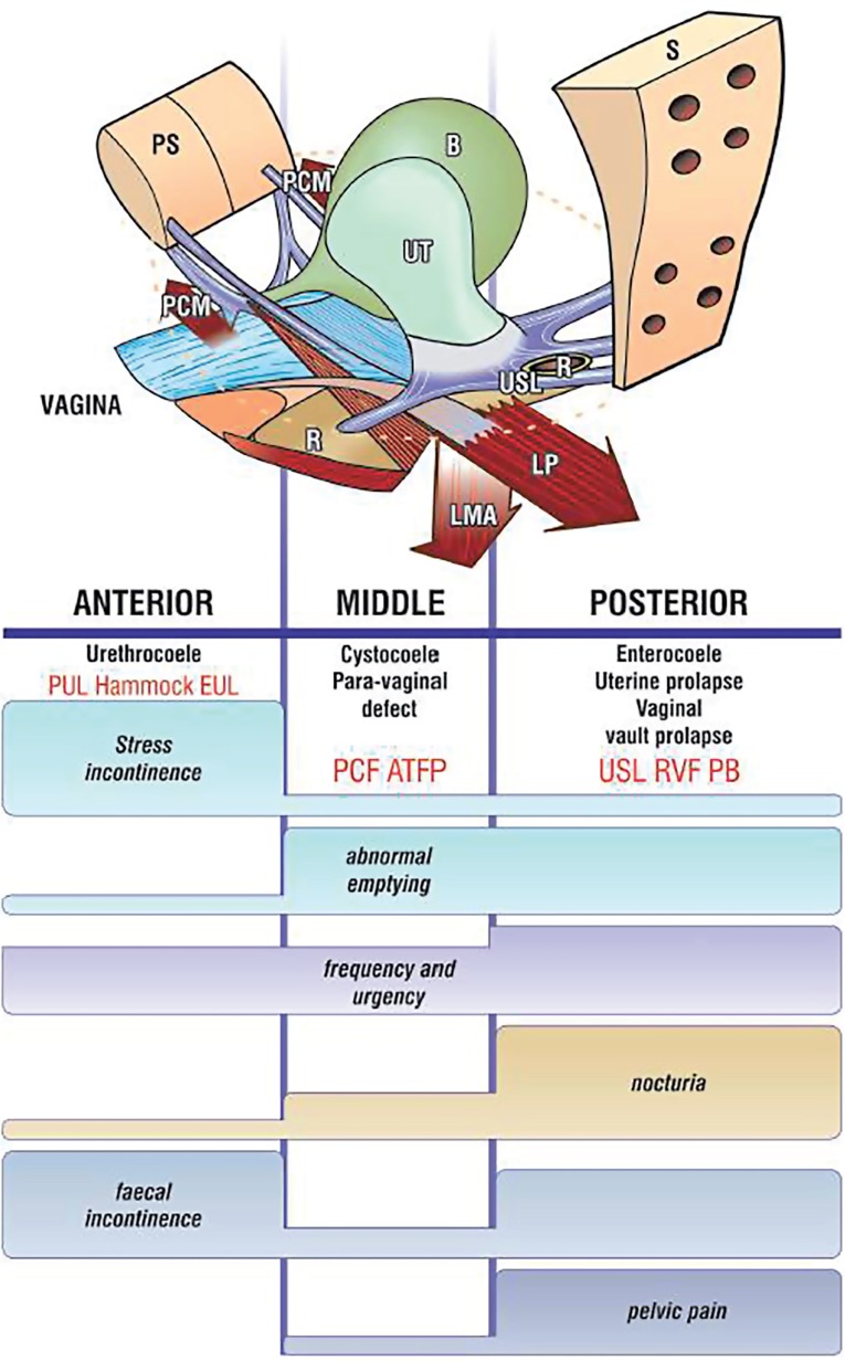 Figure 2*