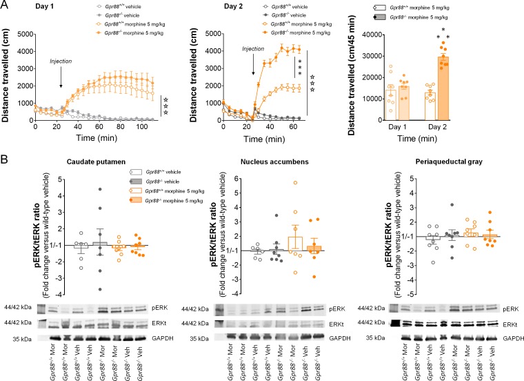 Figure 3—figure supplement 2.