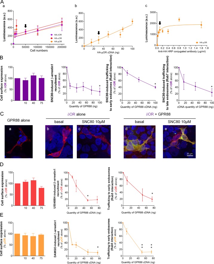 Figure 1—figure supplement 2.