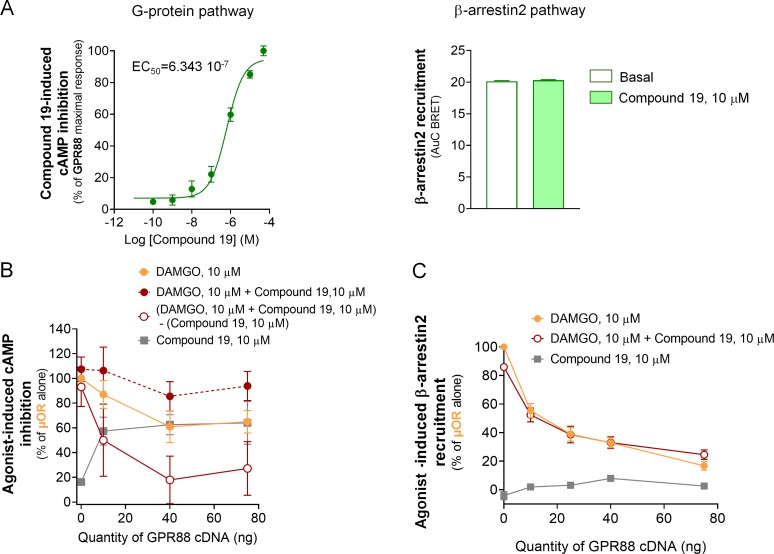 Figure 2—figure supplement 2.