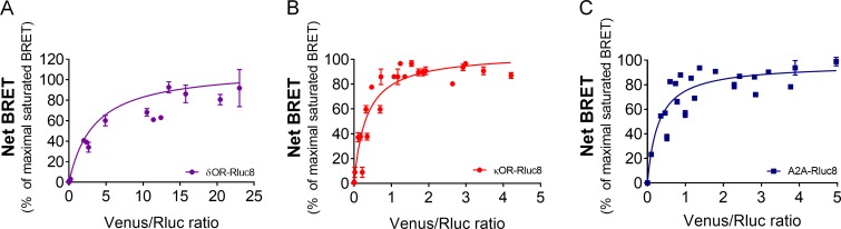 Figure 1—figure supplement 1.