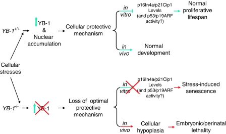 FIG. 7.