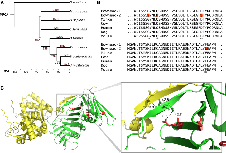 Figure 3