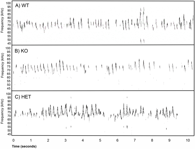 Figure 1)