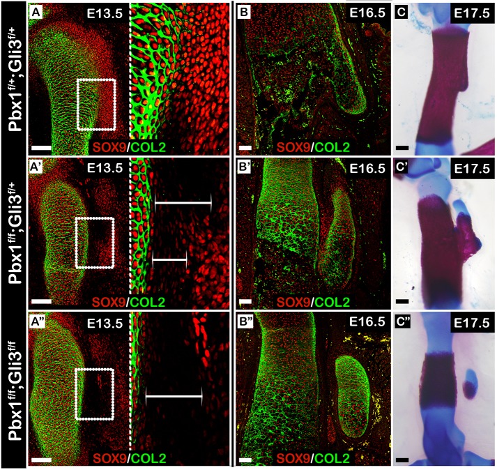 Fig. 8.