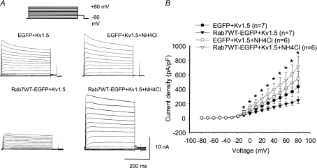 Figure 17