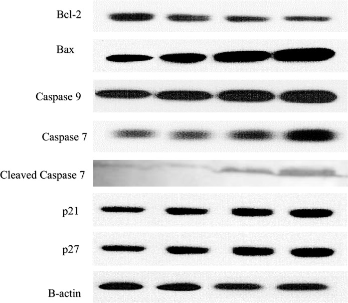 Fig 12