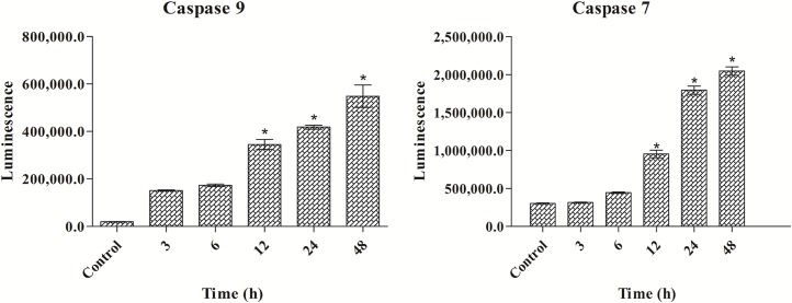 Fig 10