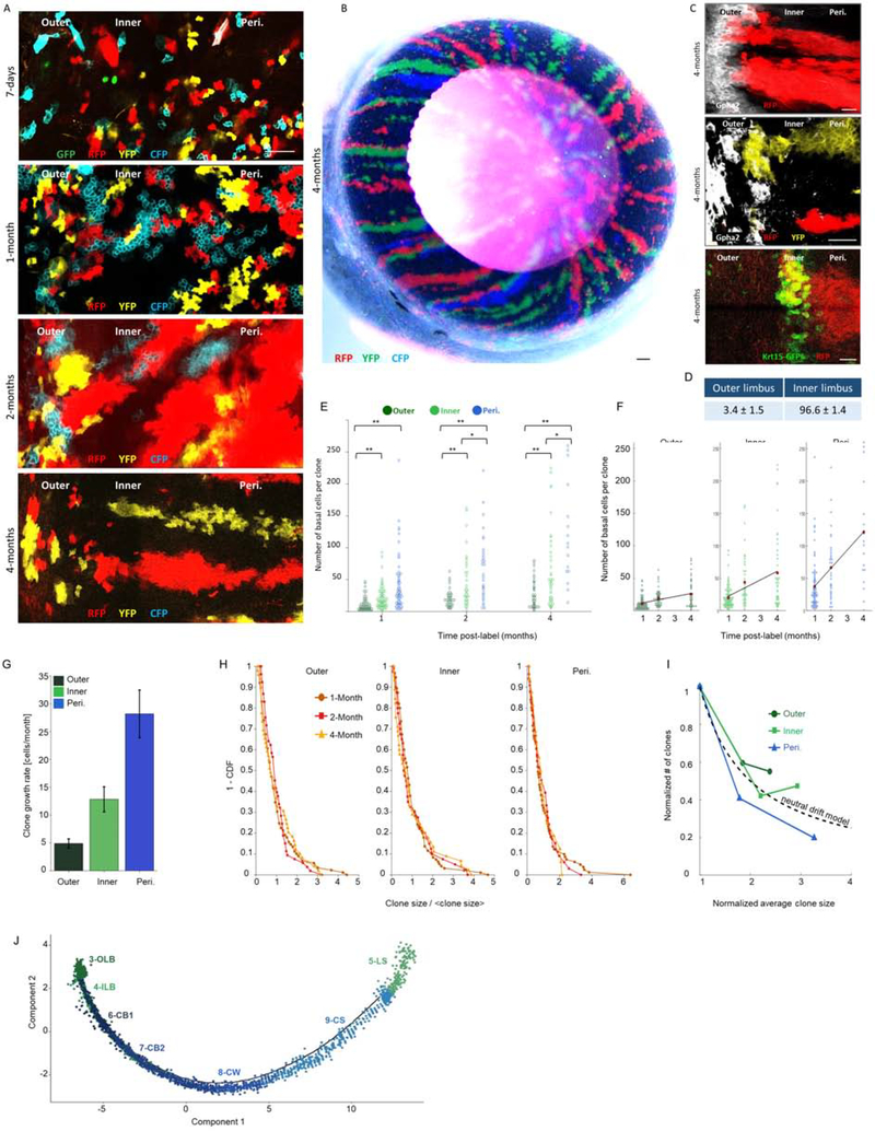 Fig 2: