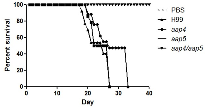 Fig 9