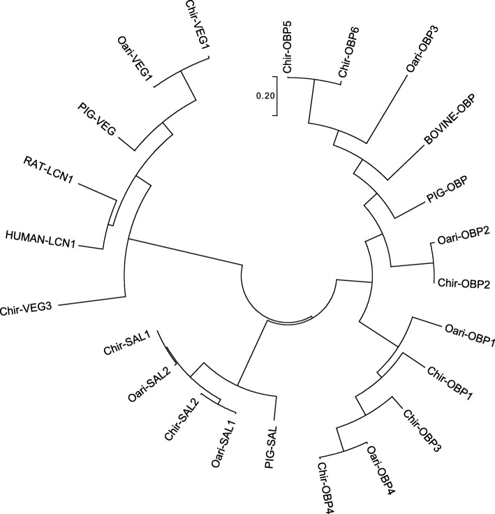 Fig. 3