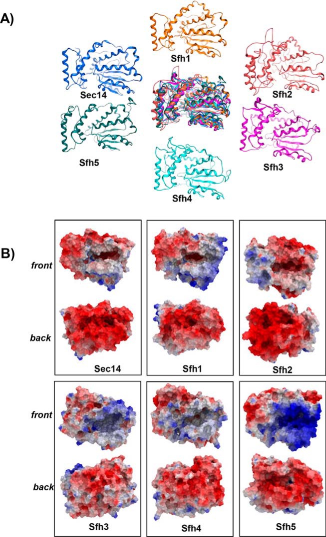 Figure 3.