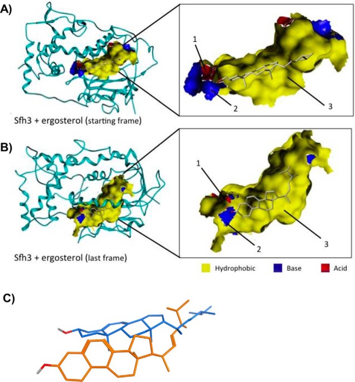 Figure 10.