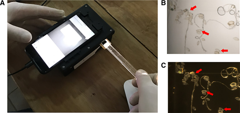 Figure 1.