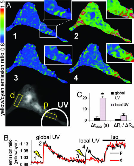 Fig. 4.