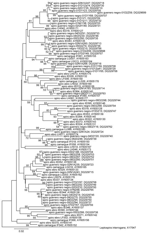 Fig.2