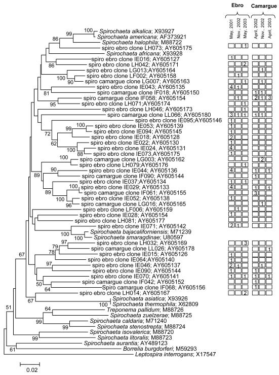 Fig.1