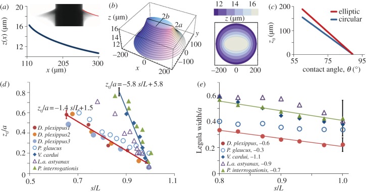 Figure 4.