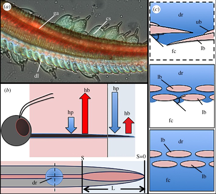 Figure 3.