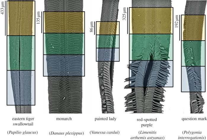 Figure 5.