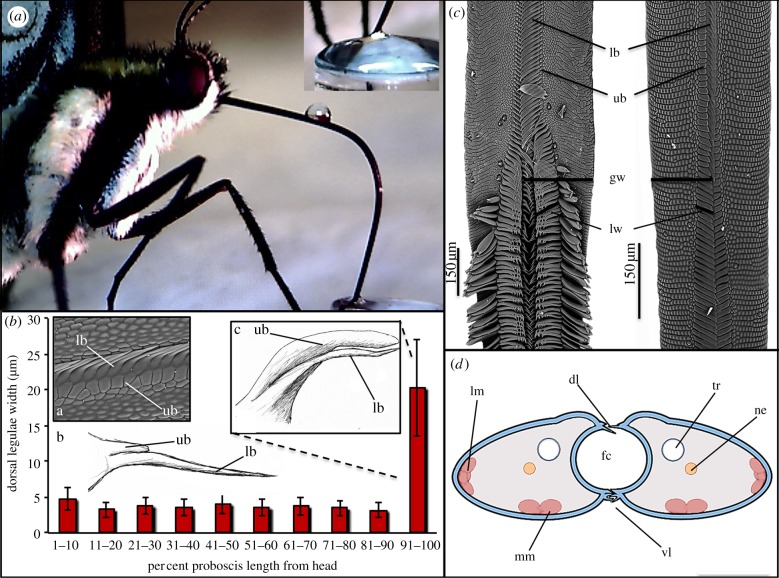 Figure 1.