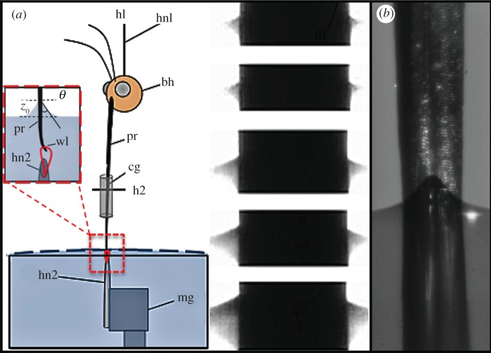 Figure 2.