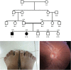 Figure 1.