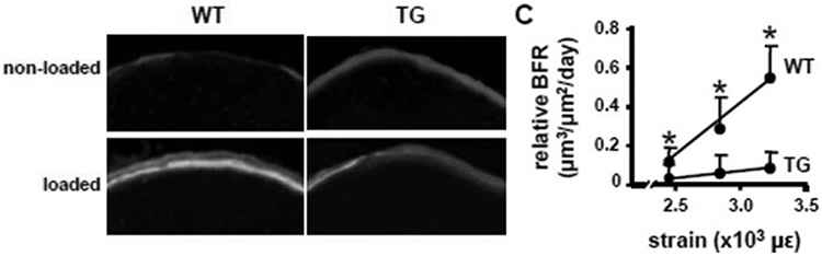 Figure 4: