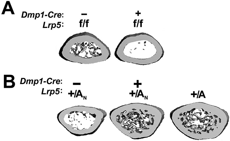 Figure 2: