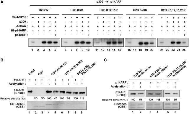 Figure 4.