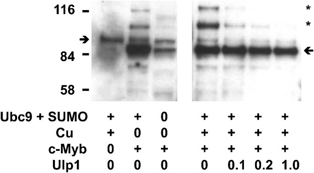 Fig. 9.