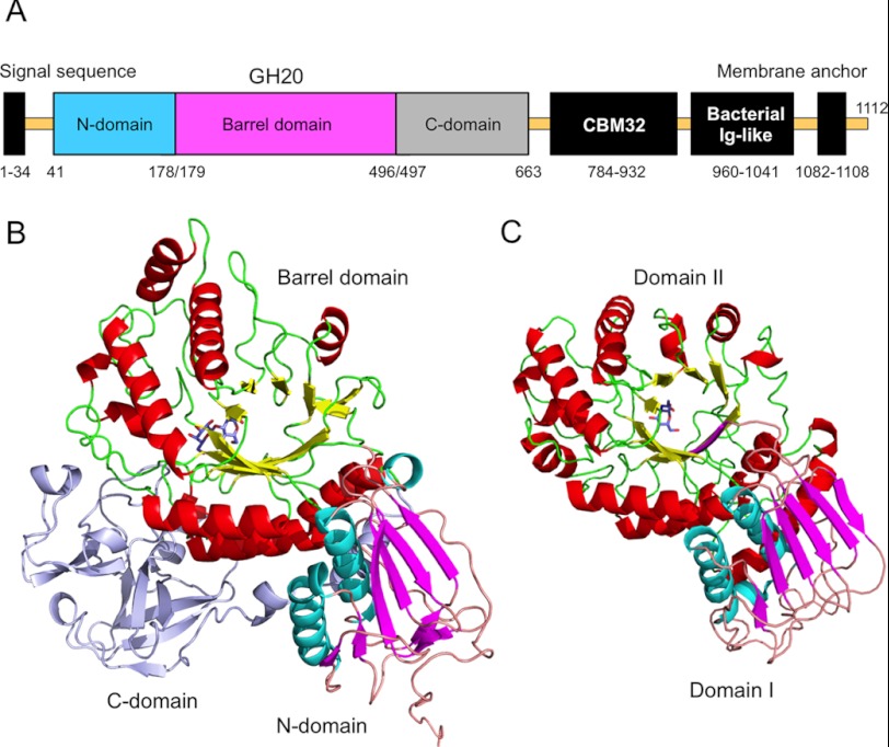 FIGURE 1.