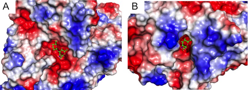 FIGURE 4.