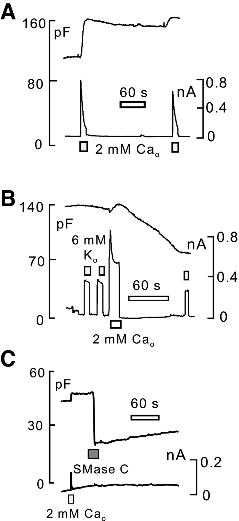 Fig. 8.